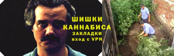 прущие крисы Кулебаки