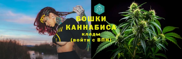 прущие крисы Кулебаки