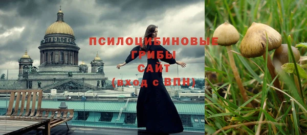 прущие крисы Кулебаки