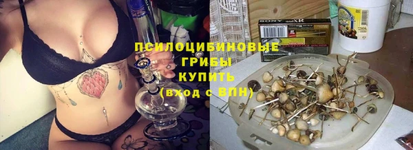 прущие крисы Кулебаки
