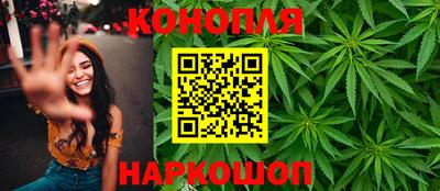 крисы Тулун