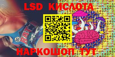 крисы Тулун