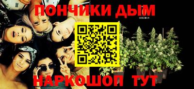 крисы Тулун