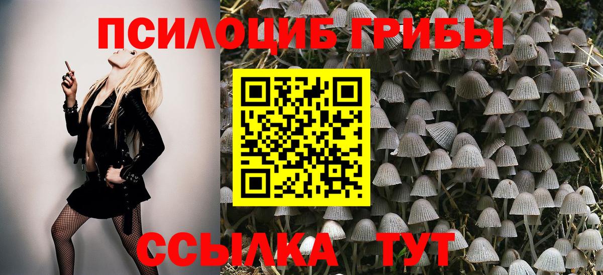 Галлюциногенные грибы GOLDEN TEACHER Серпухов