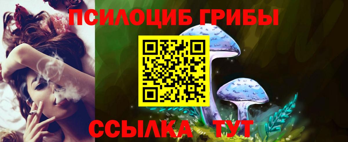 Серпухов  Галлюциногенные грибы Cubensis  Вход с VPN 